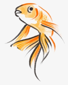 Transparent Gold Fish Png - Goldfish Drawing Png, Png Download, Free Download