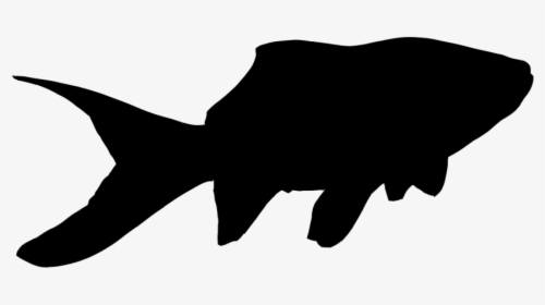Goldfish Silhouette Drawing - Fish Drawing Silhouette Png, Transparent Png, Free Download