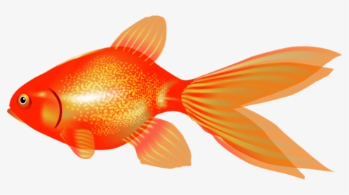 Goldfish In Bowl Png - Clip Art, Transparent Png, Free Download