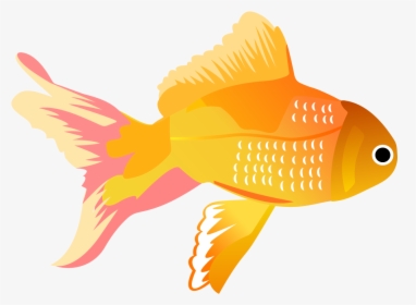Koi Carassius Auratus Clip - Png Tropical Fish Fish, Transparent Png, Free Download