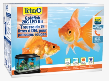 Tetra Gallon Goldfish Kit, HD Png Download, Free Download