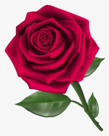 Steam Png Image Gallery - Rose Clipart Png, Transparent Png, Free Download