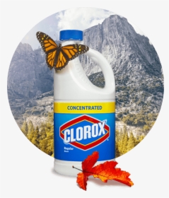 Transparent Clorox Bleach Png - Clorox, Png Download, Free Download