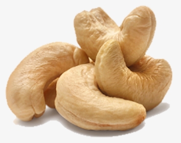 Cashew Nut, HD Png Download, Free Download