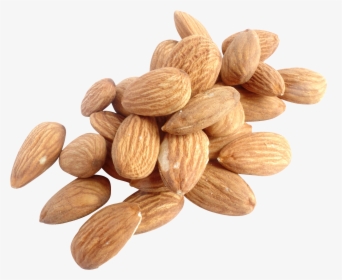 Almond Nuts Png, Transparent Png, Free Download