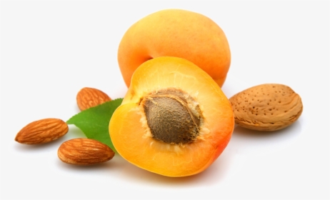 Apricot Open Png Photo - Apricot Kernel Png, Transparent Png, Free Download