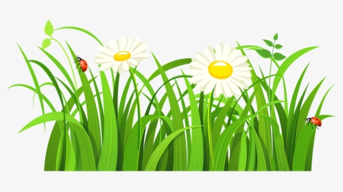 Grass Flower Png, Transparent Png, Free Download