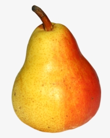 Fruits Png Png Download Asian Pear - Asian Pear, Transparent Png, Free Download