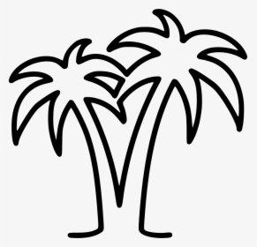 Palms - White Palm Tree Png, Transparent Png, Free Download