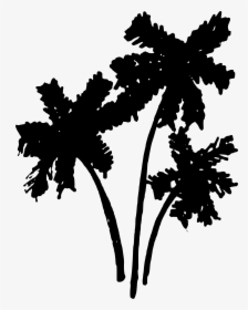 Summer Palm Tree Part 2 Clip Arts - Summer Clip Art Black And White Tree, HD Png Download, Free Download