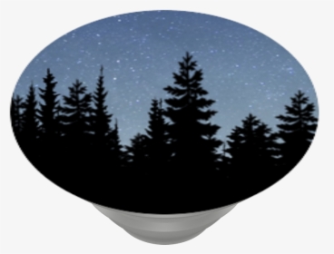 Night Forest, Popsockets - Pine Tree Vector Png, Transparent Png, Free Download