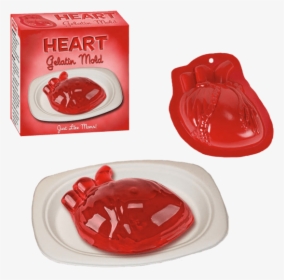 Human Heart Gelatin Mold - Enchanted Hearts Once Upon A Time Diy, HD Png Download, Free Download
