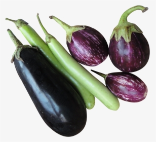 Hd Eggplant Png Transparent Background - Eggplant Transparent, Png Download, Free Download