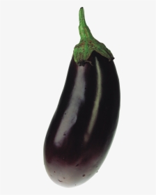 Eggplant Png Images Free Download - Eggplant With No Background, Transparent Png, Free Download