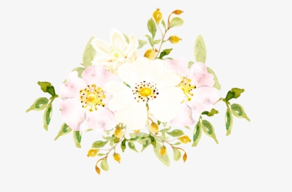 Hand Painted White Flowers Png Transparent - Burnet Rose, Png Download, Free Download