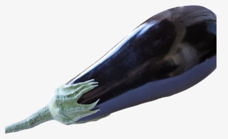 Eggplant, HD Png Download, Free Download