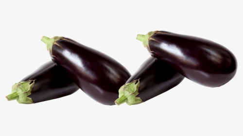 Eggplant Dutch, HD Png Download, Free Download