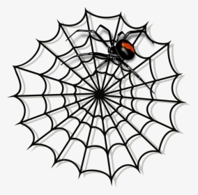 Spider Web Clipart Black And White - Transparent Background Spiderman Web, HD Png Download, Free Download