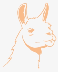 The Peruvian Llama Elsita"s Mother"s Family Is From - Illustration, HD Png Download, Free Download