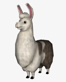 Llama, HD Png Download, Free Download