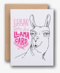Evlc0010 - Llama, HD Png Download, Free Download