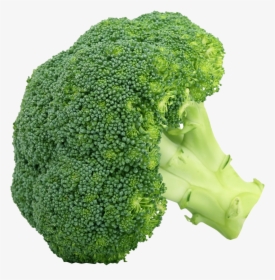 Broccoli Pictures Of Vegetables, HD Png Download, Free Download