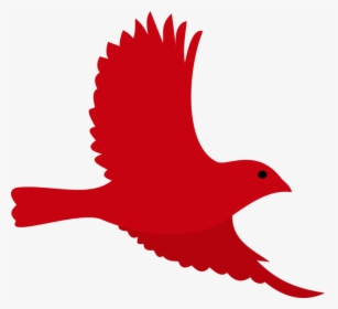 Bird Roblox Beak Owl Chicken - Perching Bird, HD Png Download, Free Download