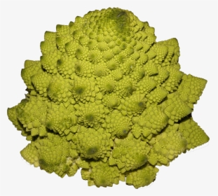 Romanesco Broccoli - کلم رومی, HD Png Download, Free Download