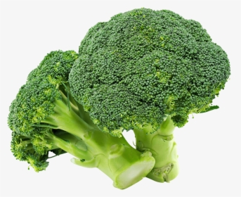 Broccoli Organic Food Cauliflower Vegetable - Broccoli Png, Transparent Png, Free Download