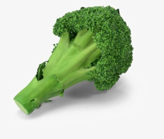 Broccoli Png Transparent Image - Portable Network Graphics, Png Download, Free Download