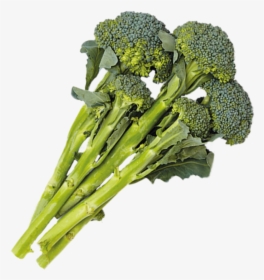 Broccoli , Png Download - Broccoli, Transparent Png, Free Download