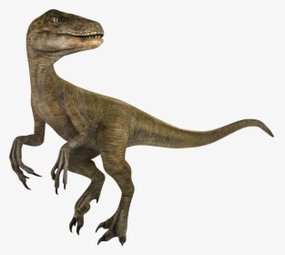 Jurassic World Alive Velociraptor, HD Png Download, Free Download