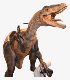 #dinosaur #raptor #velociraptor - Пнг Раптор, HD Png Download, Free Download