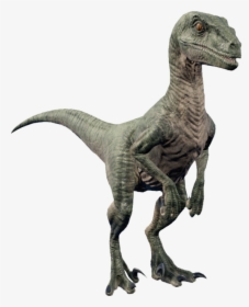   - Velociraptor Dinosaur, HD Png Download, Free Download