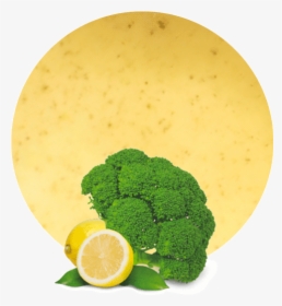 Broccoli, HD Png Download, Free Download