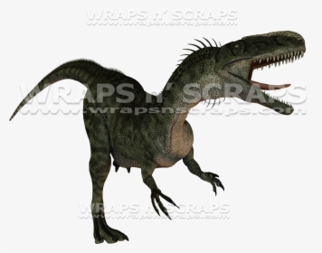 Transparent Claw Rips Png - Tyrannosaurus, Png Download, Free Download