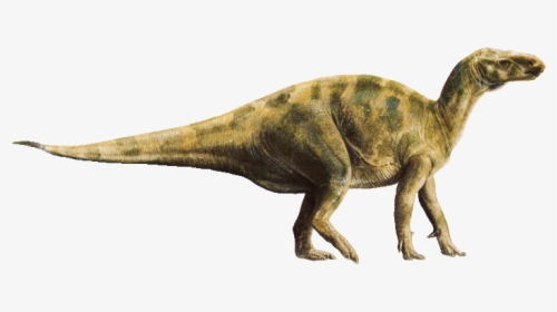 Iguanodon, HD Png Download, Free Download