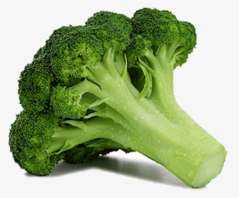 Broccoli Clipart Large - Broccoli Transparent, HD Png Download, Free Download