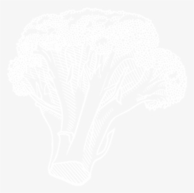 Broccoli - Broccoli Black And White Png, Transparent Png, Free Download