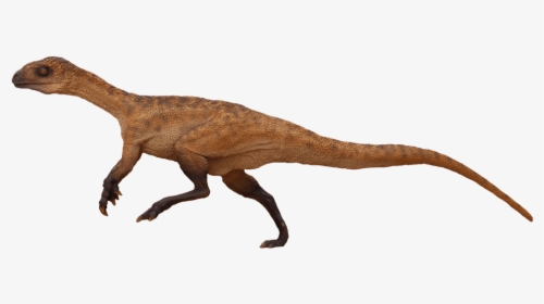 Tyrannosaur - Velociraptor - Dinosaurs Of Triassic Period Sellosaurus, HD Png Download, Free Download