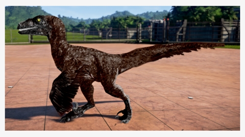 Velociraptor Png, Transparent Png, Free Download