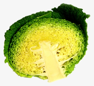 Cabbage, HD Png Download, Free Download