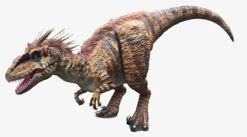 Dinosaur Velociraptor Dilophosaurus Portable Network - Dinosaur Image No Background, HD Png Download, Free Download