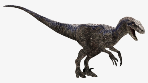 Velociraptor Png Toy, Transparent Png, Free Download