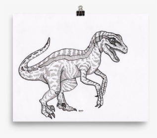 Velociraptor Art Print - Velociraptor, HD Png Download, Free Download