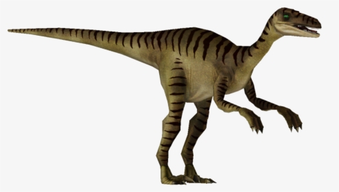 Spinosaurus Tyrannosaurus Velociraptor Dinosaur Jurassic Park 3 Spinosaurus Png Transparent Png Kindpng - jurassic world cap roblox wikia fandom