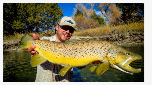 Montana Guided Fly Fishing - Coastal Cutthroat Trout, HD Png Download, Free Download