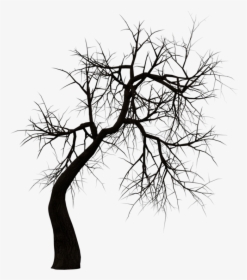 Kuntilanak Terbang Tree Clip Art - Tree Silhouette Png Horror, Transparent Png, Free Download