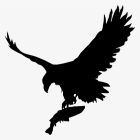 Eagle, Bird, Fish, Holding, Wildlife, Sky, Fishing - Eagle With Fish Vector, HD Png Download, Free Download