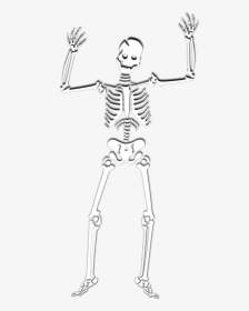 Spooky Scary Skeletons Png, Transparent Png, Free Download